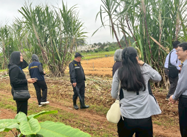 ร่วมสังเกตการณ์ คณะกรมสหกรณ์และพัฒนาชนบทเมียนมาร์ ... พารามิเตอร์รูปภาพ 45